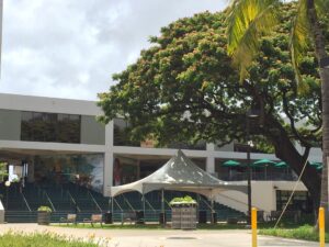 社会人でも留学はできる？メリット・デメリットや具体的な方法をご紹介