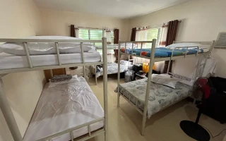 (First English/ファーストイングリッシュ) 2段ベッド