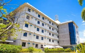 Curious World Academy top