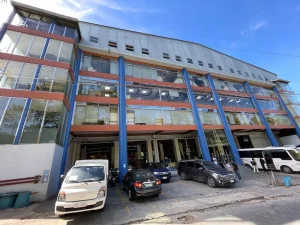 PINESメインキャンパス_TOP