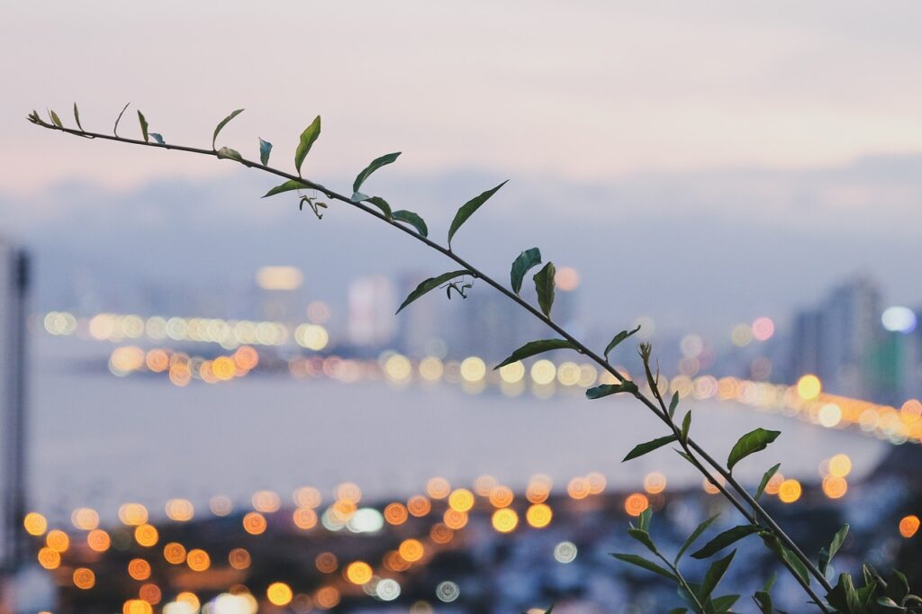 フィリピン留学でホームステイをするメリット・デメリットを紹介