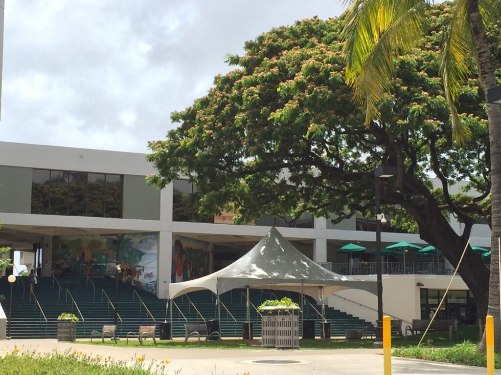 社会人でも留学はできる？メリット・デメリットや具体的な方法をご紹介