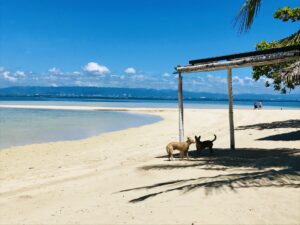 セブ島のベストシーズンはいつ？台風・雨季や安い時期をご紹介！