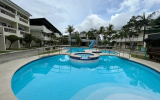 (English Fella1/イングリッシュフェラワン)プール