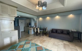 (GENIUS/ジーニアス) ソファー