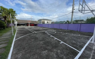 (CG Sparta/シージースパルタ) バスケットコート