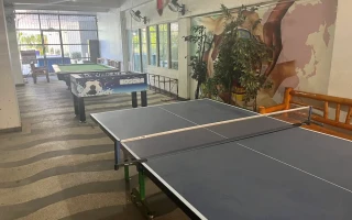 (GENIUS/ジーニアス) 卓球台