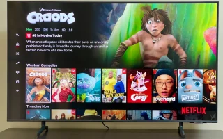 (WALES/ウェールズ) NETFLIX視聴可能