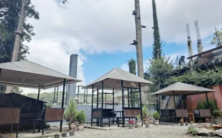 (A&J/エーアンドジェイ) 校庭