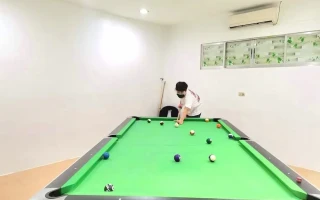 (BTES/ビーティーイーエス) ビリヤード